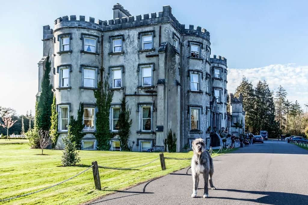 castle wedding venues ireland ballyseede